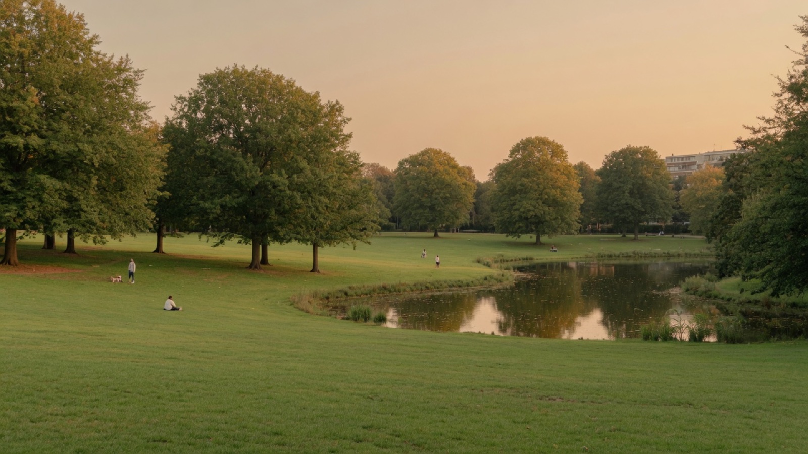 Oosterpark lawns Amsterdam