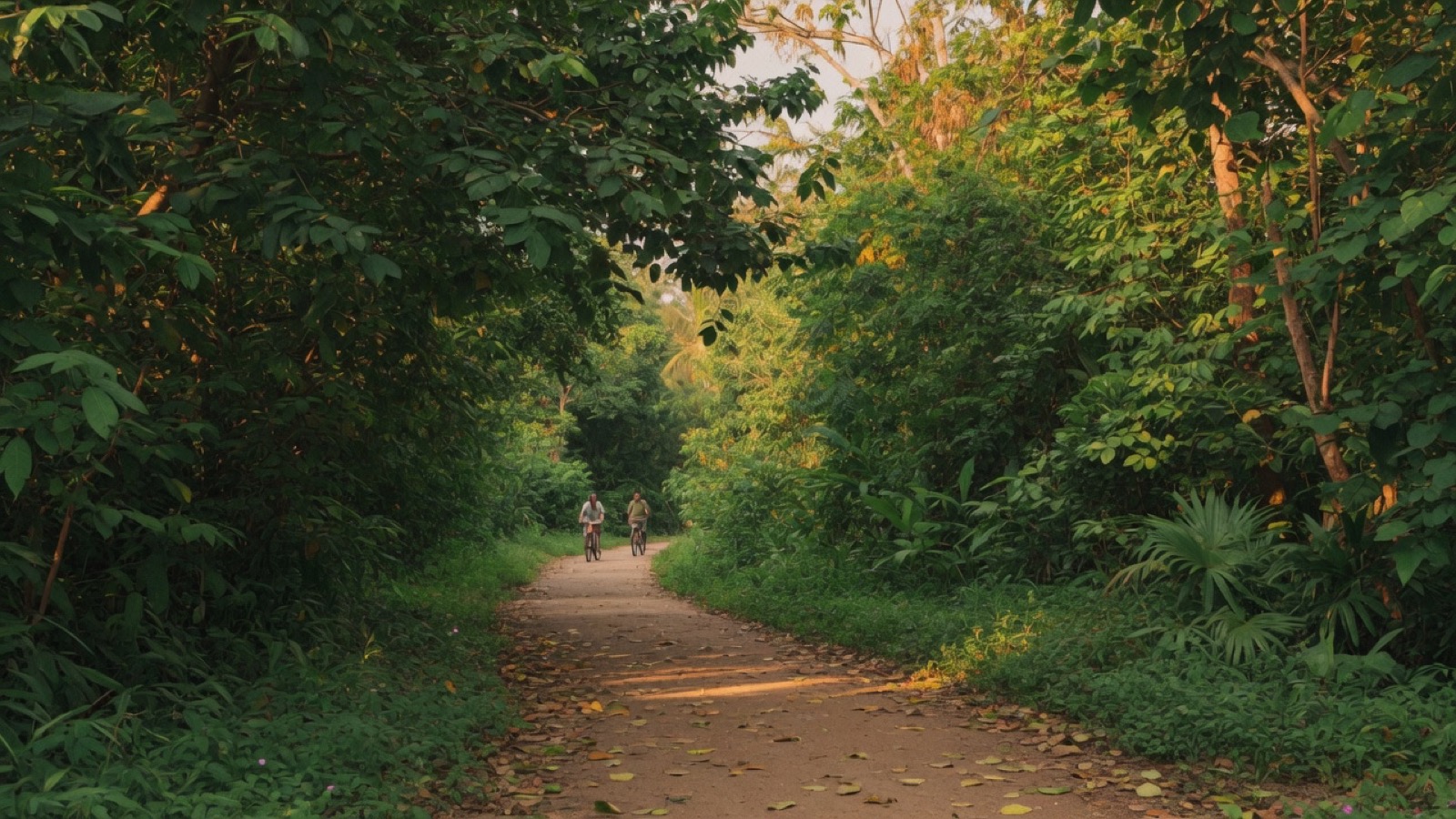 Soft Cork Bang Krachao green path canopy Bangkok area