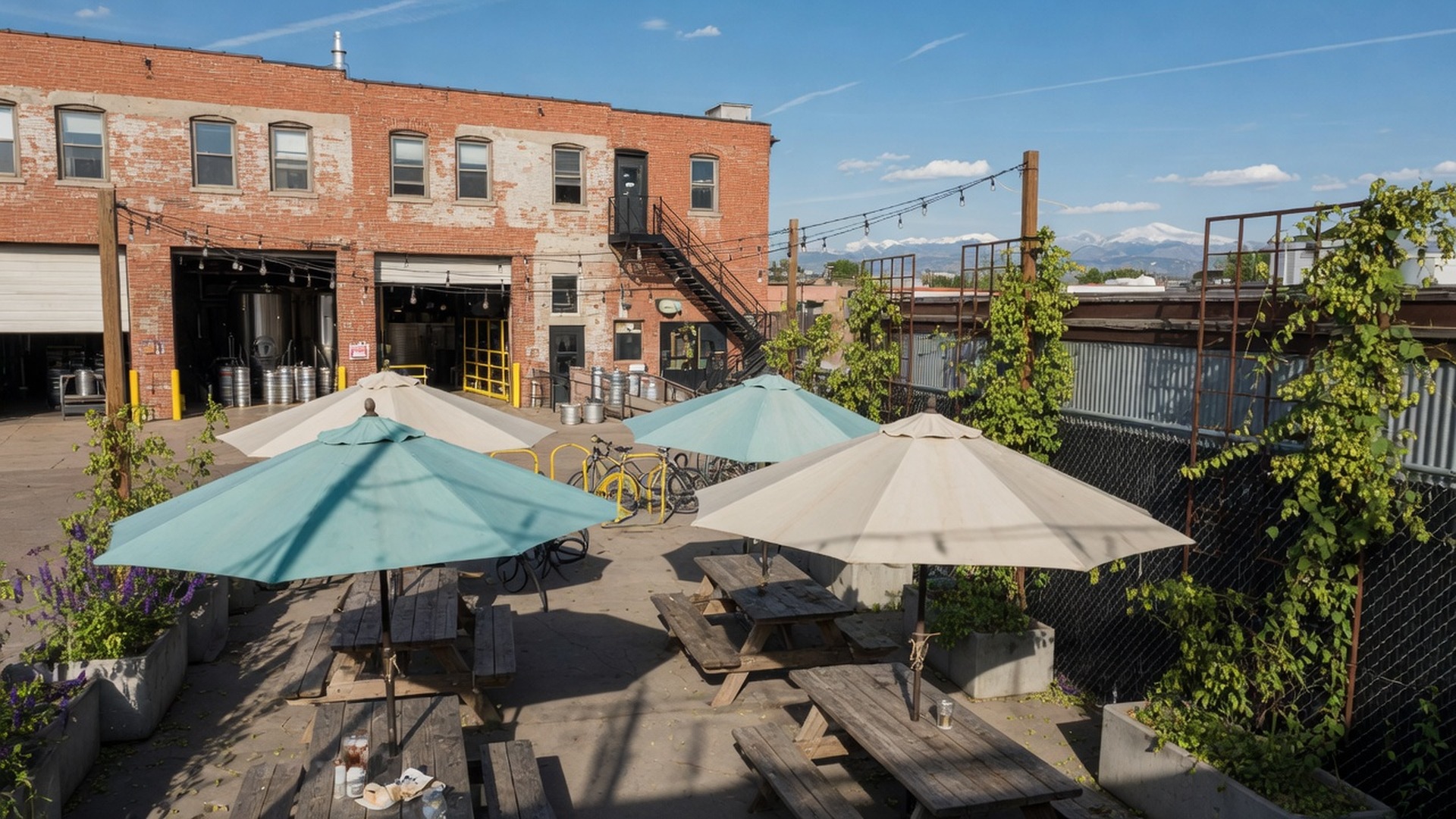 Zuni Street Brewing sunny patio with professional groups