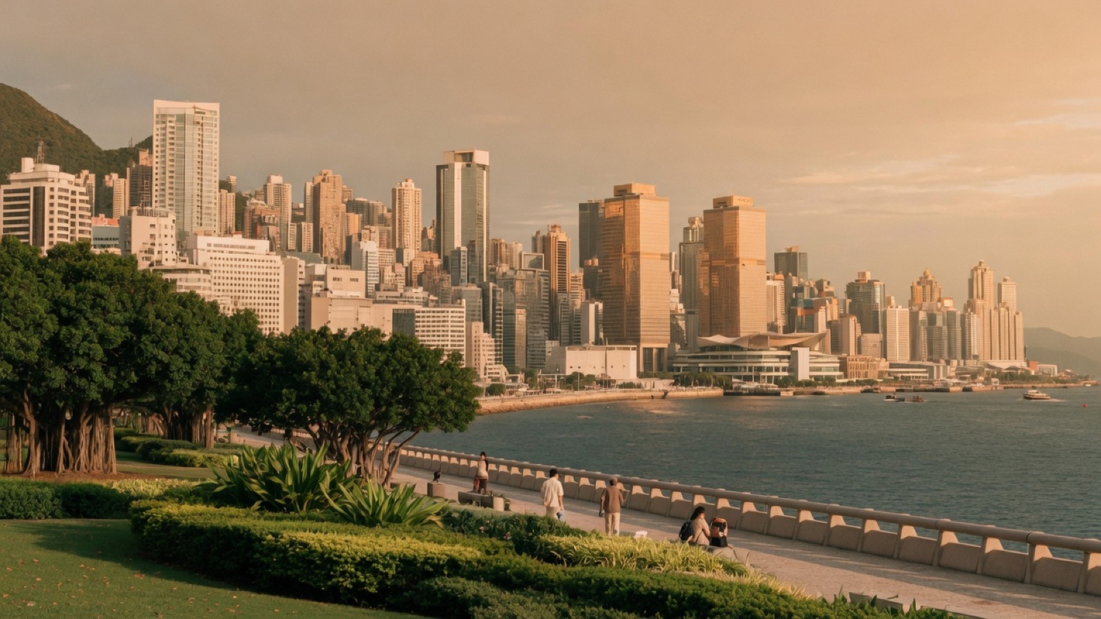 Soft Cork hero of Hong Kong harbour and park light for company hangouts