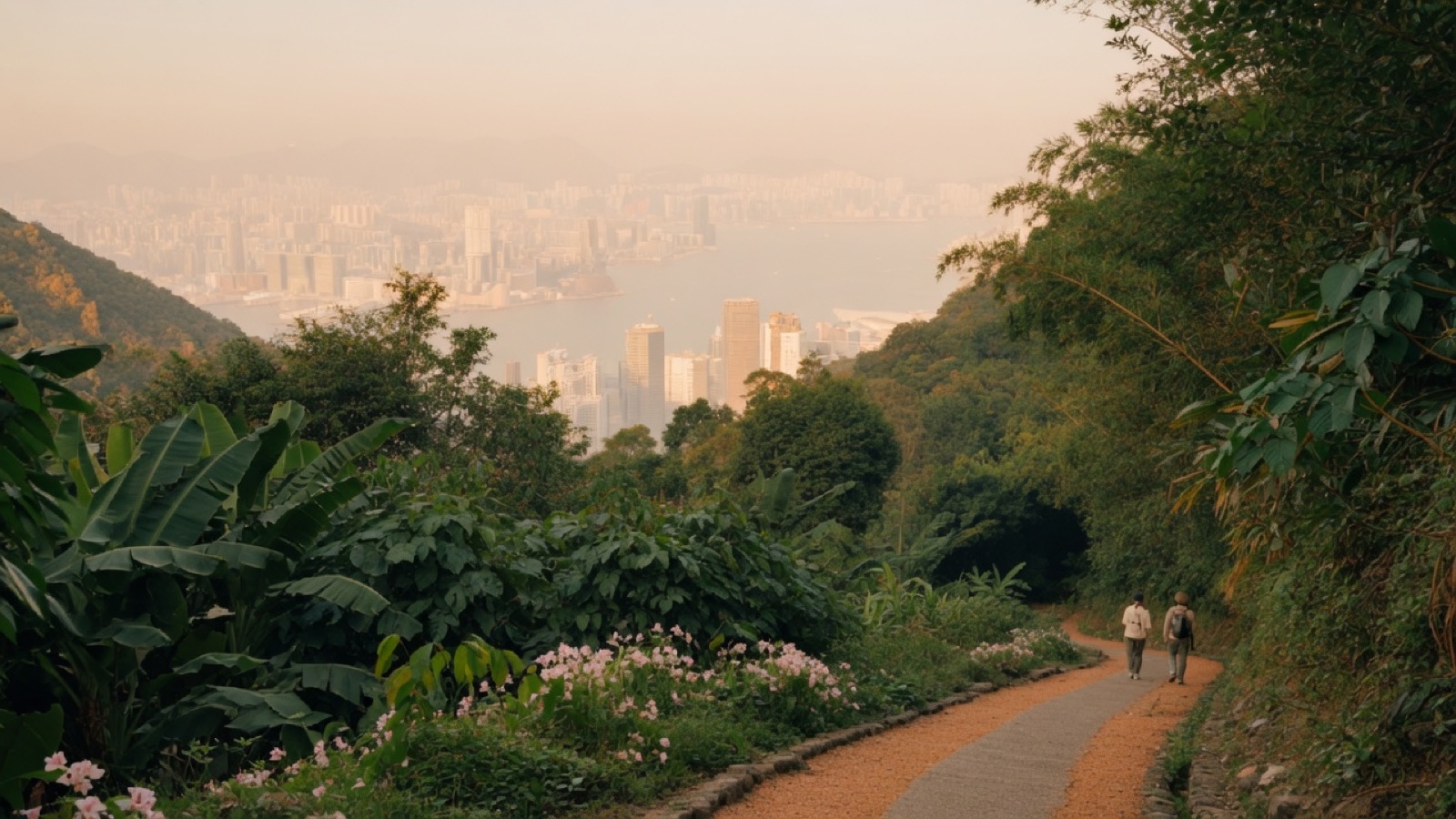 Soft Cork Peak area path with Hong Kong skyline haze