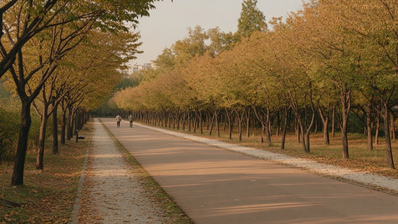Soft Cork Gyeongui Line Forest Park path Seoul
