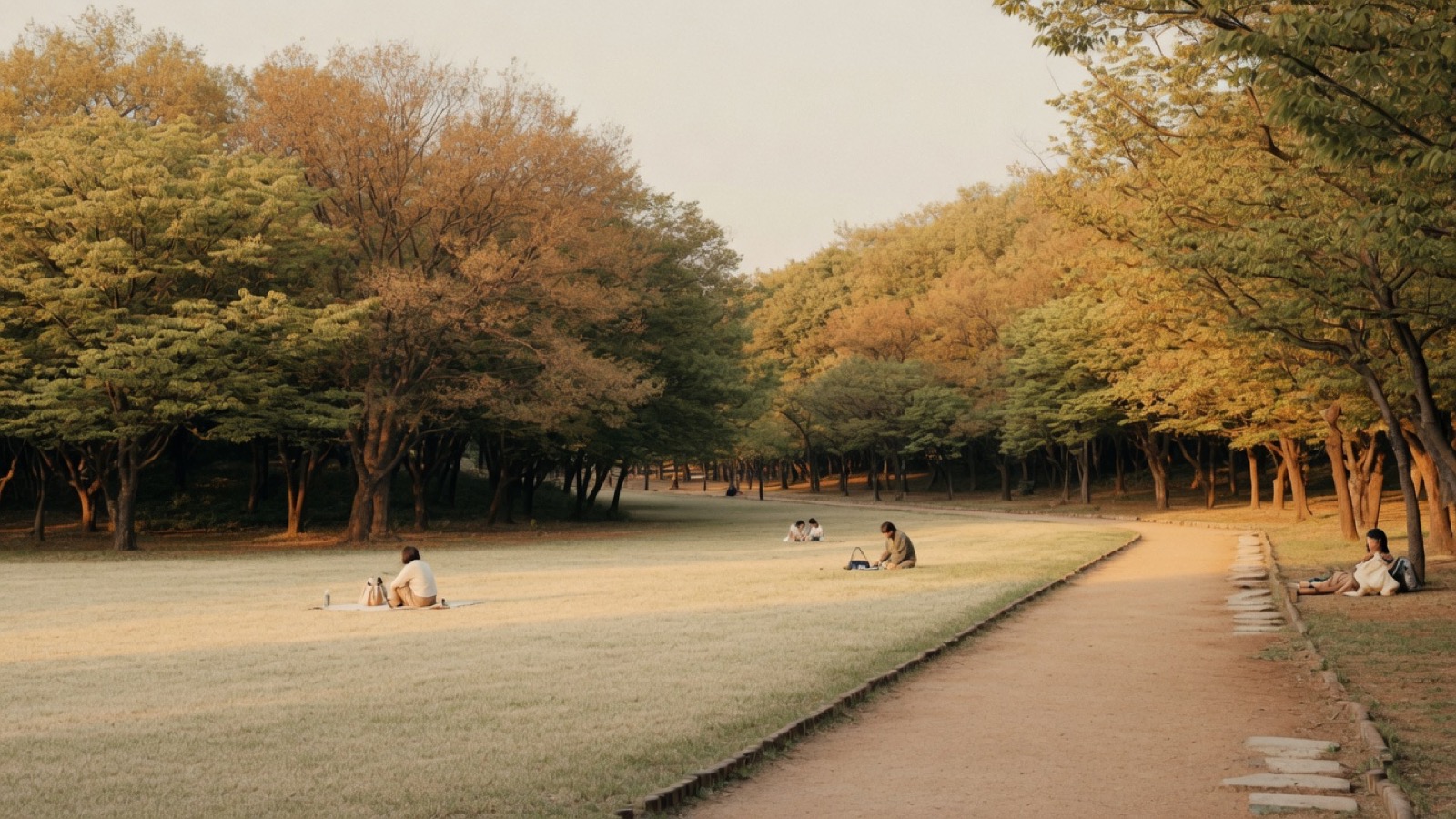 Soft Cork Seoul Forest lawns and trees