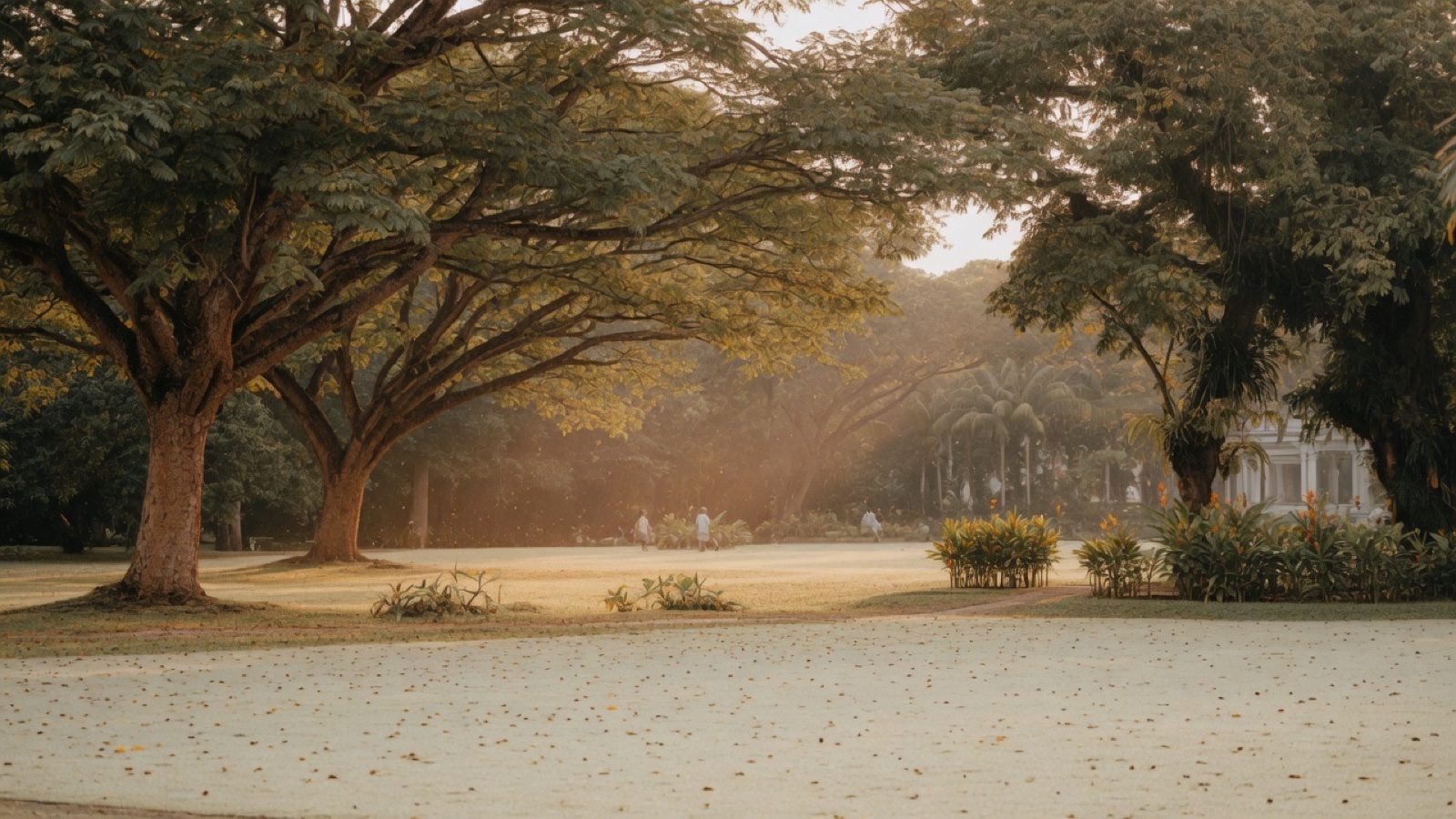 Botanic Gardens lawns and trees Singapore