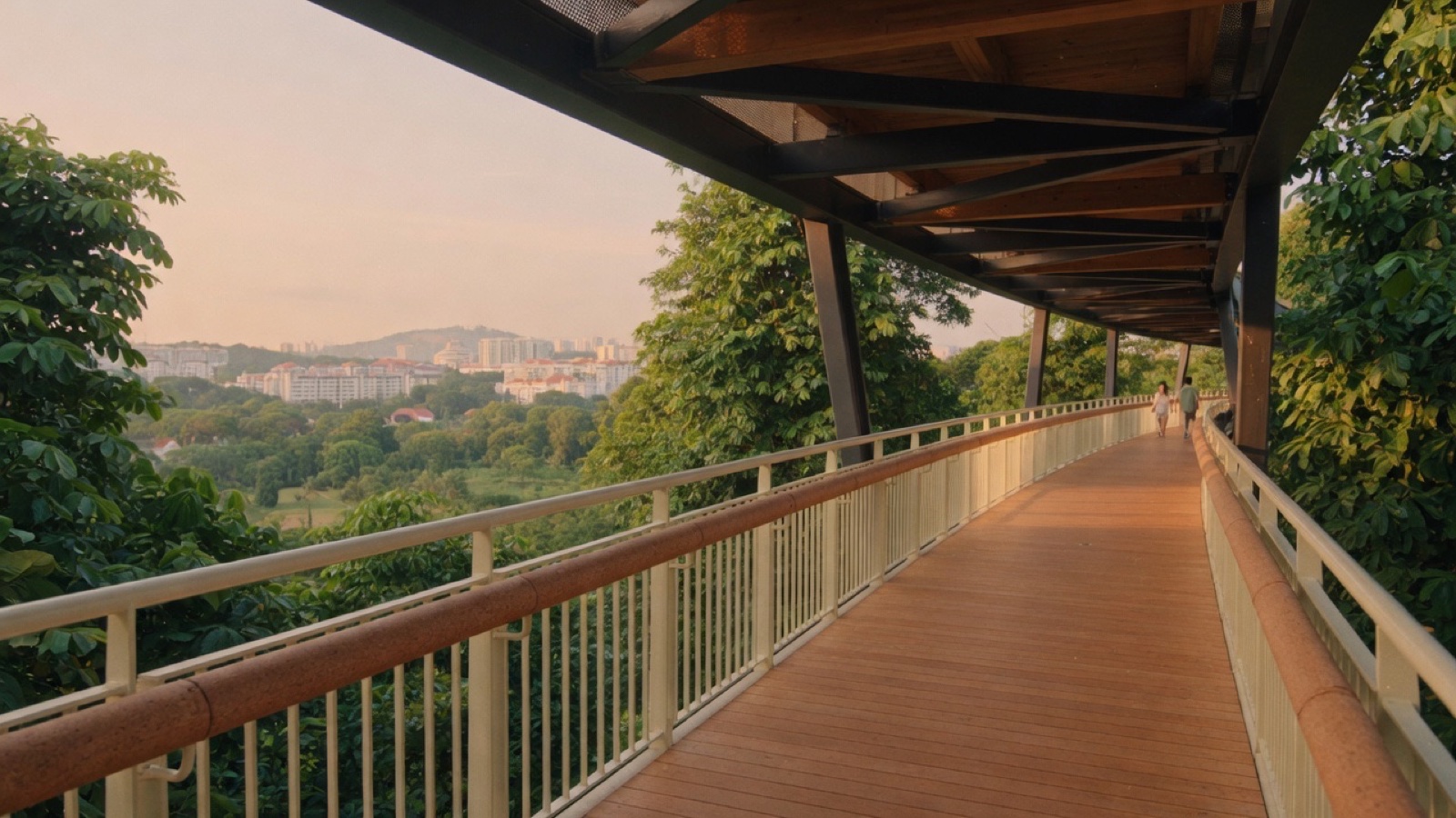 Canopy walkway bridge Southern Ridges Singapore