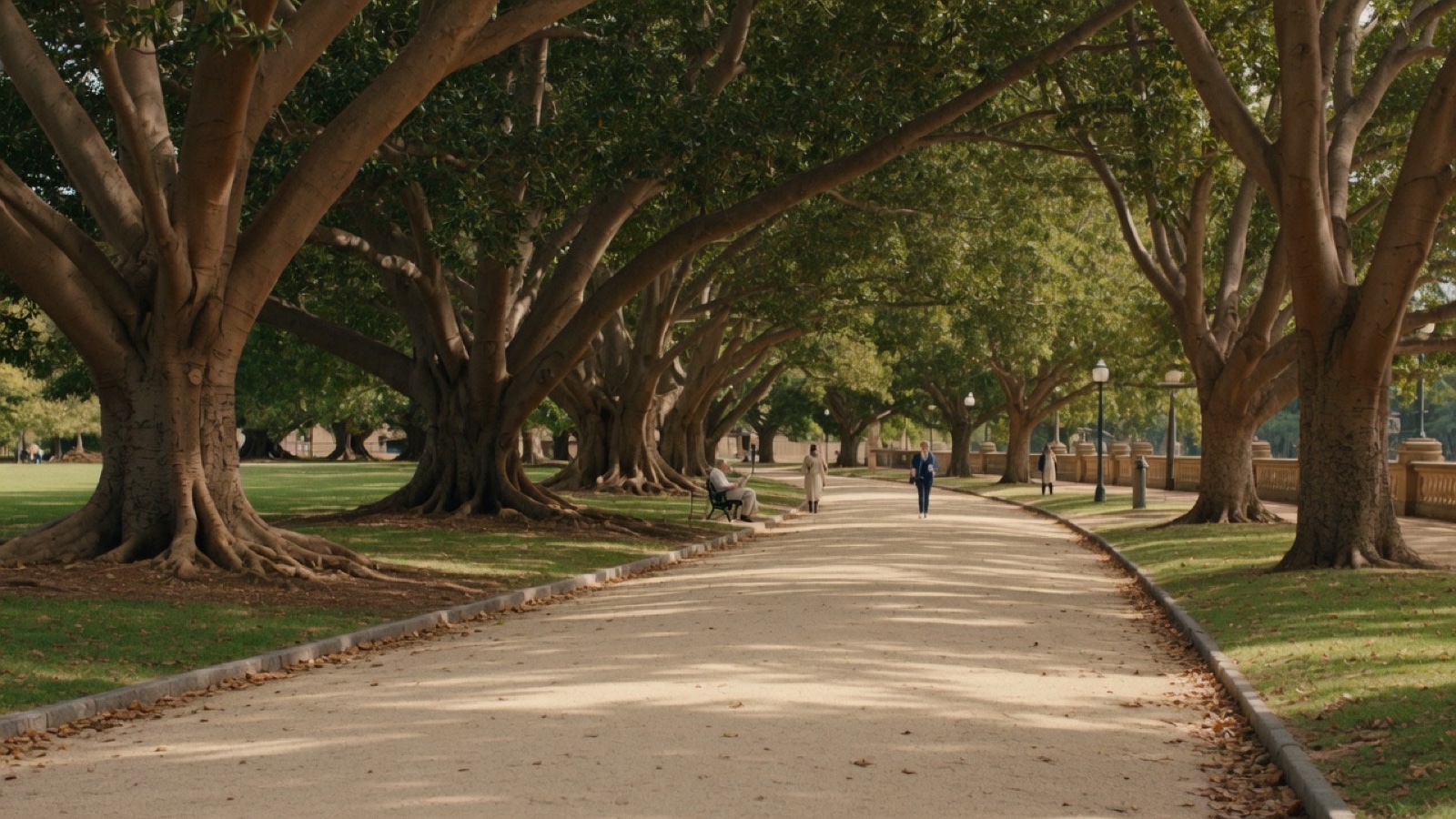 Tree-lined path Hyde Park Sydney CBD
