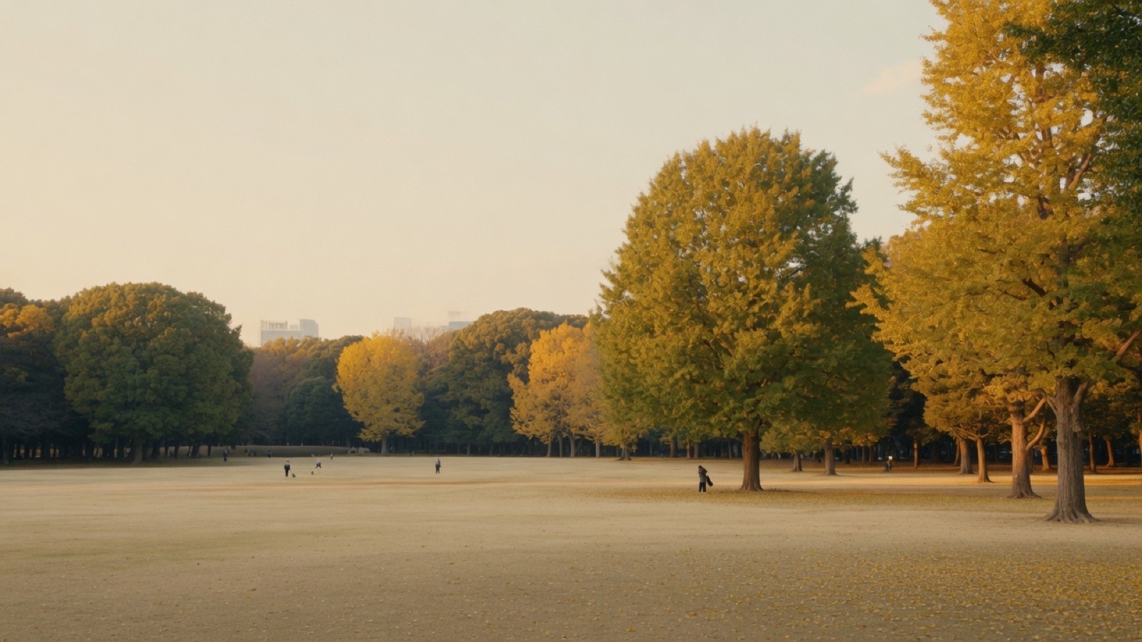 Yoyogi Park lawn in soft evening light with Tokyo skyline