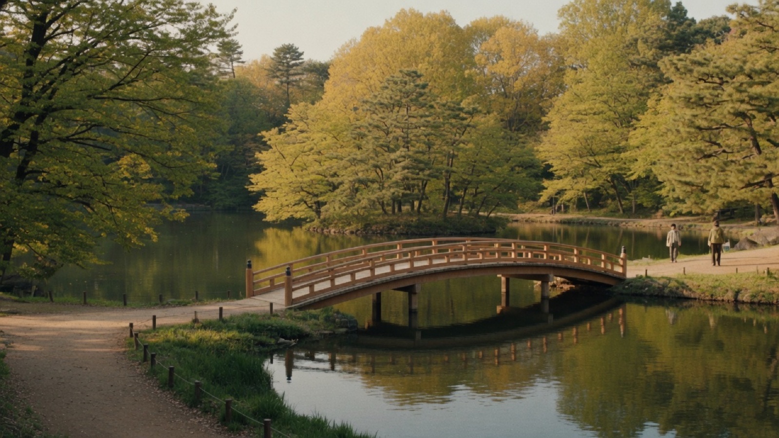 Inokashira pond with boats and trees Tokyo